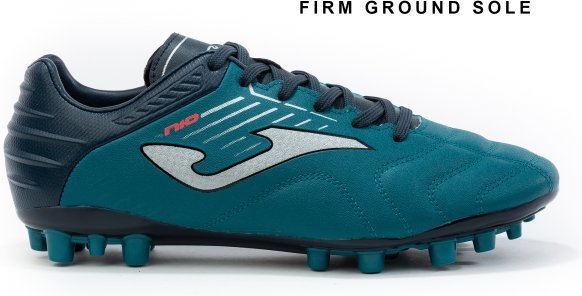 N10S.2017.FG